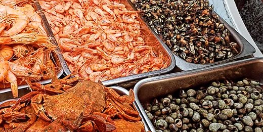 Marisco do Dia